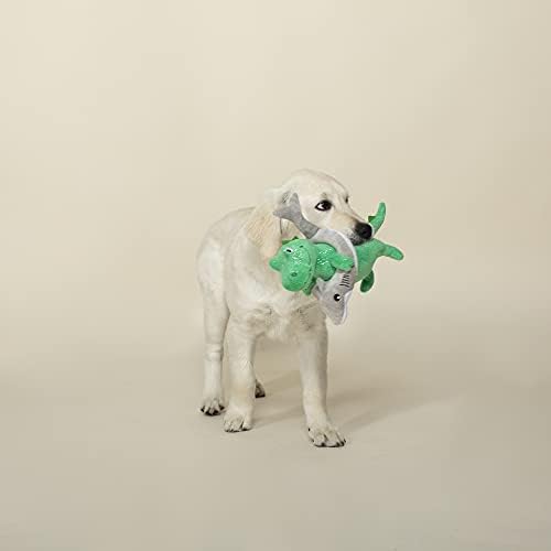 Fringe Studio Plush Dog Toy, Shark Week REX (289879) for All Breed Sizes - Image 3