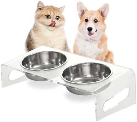 Tilted Raised Elevated Food and Water Bowls Stand for Cat or Small Dogs - Puppy's Clear Acrylic Stainless Steel Dishes Holder for Boy or Girl Pet,Modern,Durable and Easy to Clean by WBhonghui (Clear) by WBHONGHUI