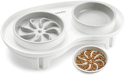 Elevated Cat Slow Feeder Bowl: Anti-Vomiting Bloat Stop Raised Food & Water Bowl for Kitten Healthy Eating - No-Spill/Non-Slip Shallow Puzzle Bowl for Puppy Small Dogs by Biubiucat
