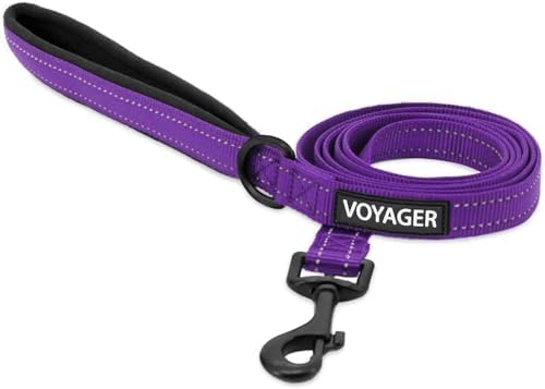 Best Pet Supplies Voyager Nylon Dog Leash - Purple, Small by BestPetSuppliesLLC