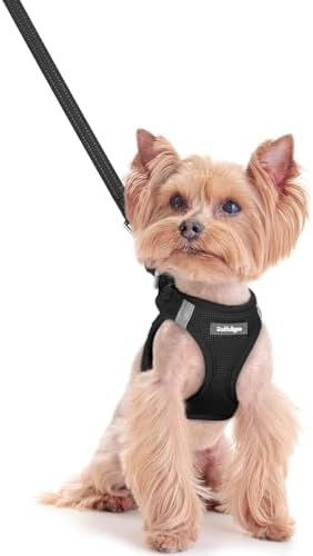 rabbitgoo Dog Harness Small Sized and Leash Set, Step-in Puppy Pet Vest by rabbitgoo
