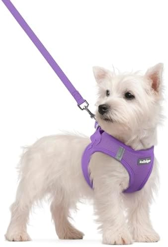 rabbitgoo Dog Harness Small Sized and Leash Set, Step-in Puppy Pet Vest by rabbitgoo