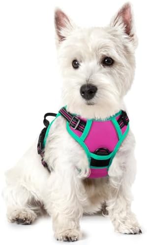 rabbitgoo Dog Harness, No Pull for Small Dogs with 2 Leash Clips, Pet Vest by rabbitgoo