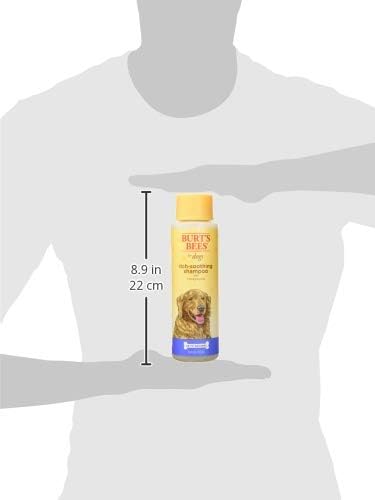 Burts Bees for Pets Itch Soothing Dog Shampoo, Honeysuckle, 16 Fl Oz - Image 3