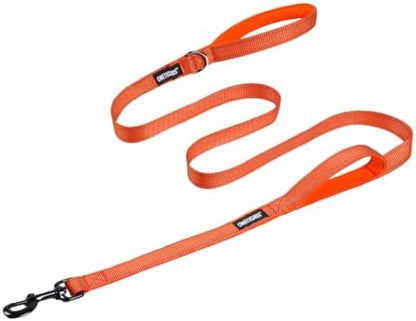 OneTigris No-Pull Dog Leash with Handle for Medium Large Dogs (Orange, 6FT) by OneTigris