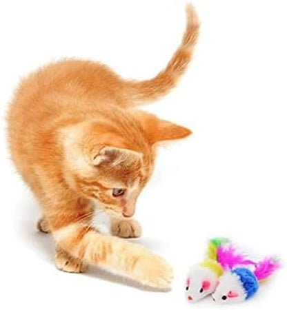 N\C NC LEPOO 14 PCS Cat Toys Kitten Toys Assortments,Variety Catnip Toy Set Including 2 Way Tunnel,Cat Feather Teaser,Catnip Fish,Mice,Colorful Balls and Bells for Cat,Puppy,Kitty