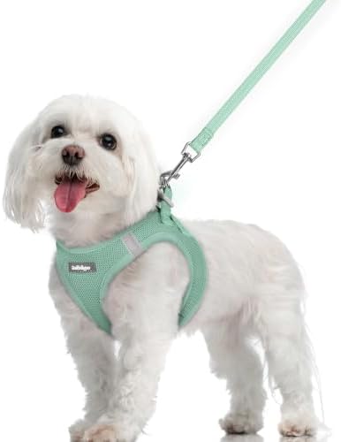 rabbitgoo Dog Harness Medium Sized and Leash Set, Step-in Puppy Pet Vest by rabbitgoo