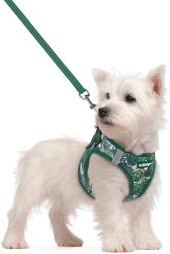 rabbitgoo Dog Harness Small Sized and Leash Set, Step-in Puppy Pet Vest by rabbitgoo