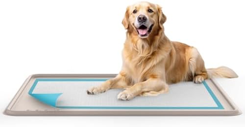 Dog Training Pad Silicone Tray - 35 x 28 in. No Spill Raised Lip High Edge Mat Holder, Extra Thick and Non-Slip for Indoor Floor Protection, Universal Fit Potty Training Pads (XL, Beige) | eenk by eenk
