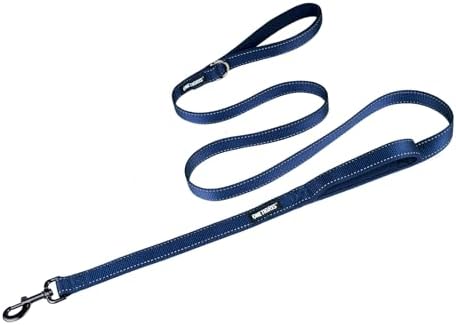 OneTigris No-Pull Dog Leash with Handle for Medium Large Dogs (Blue, 6FT) by OneTigris
