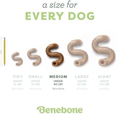 Benebone Tripe Bone Durable Dog Chew Toy for Aggressive Chewers, Medium - Image 4