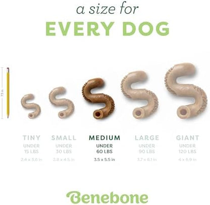 Benebone Tripe Bone Durable Dog Chew Toy for Aggressive Chewers, Medium - Image 4