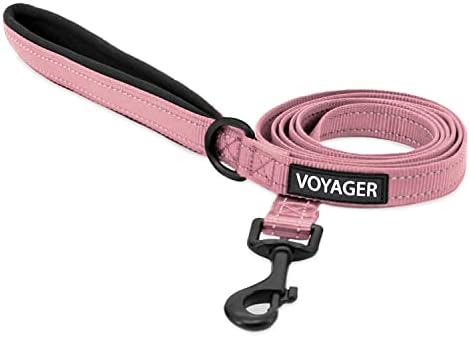 Best Pet Supplies Voyager Nylon Dog Leash - Pink, Small by BestPetSuppliesLLC