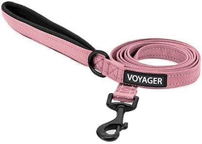Best Pet Supplies Voyager Nylon Dog Leash - Pink, Small by BestPetSuppliesLLC