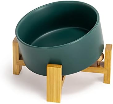 SPUNKYJUNKY 15° Slanted Ceramic Dog and Cat Bowl with Wooden Stand, Tilted Bulldog Food and Water Bowl No Slip Non-Spill for Cats Medium Dogs Big Face Pets 28.7 OZ (3.6 Cups, Green) by SPUNKYJUNKY