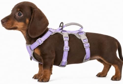 Huntboo Escape Proof Dog Harness,Secure Dog Harness No Escape,Fully Reflective Harness with Handle,Breathable,Durable,Adjustable Vest for Small Dogs Walking,Training & Running Gear(Lavender Purple,XS) by Huntboo