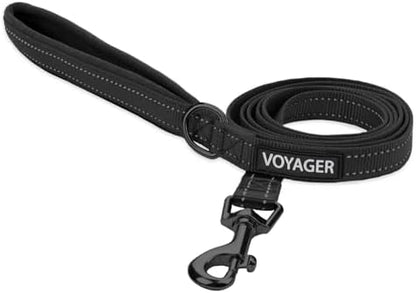 Best Pet Supplies Voyager Nylon Dog Leash - 6ft Black, Large by BestPetSuppliesLLC