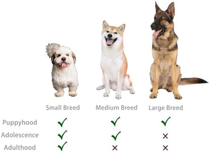 Jalousie Multipack Dog Squeaky Toys Bulk Bundle Pup Toy - Puppy Toys for Pets for Small Medium Breed (12 Pack Rope and Plush Animals) - Image 6