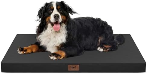 Outdoor Extra Large Dog Bed XXL for Giant Breed Dogs by TailStories