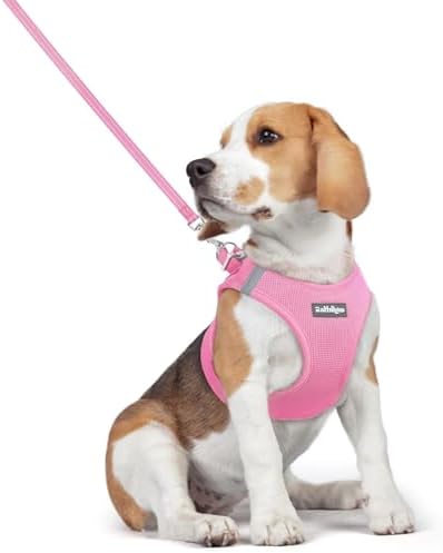 rabbitgoo Dog Harness Medium Sized and Leash Set, Step-in Puppy Pet Vest by rabbitgoo
