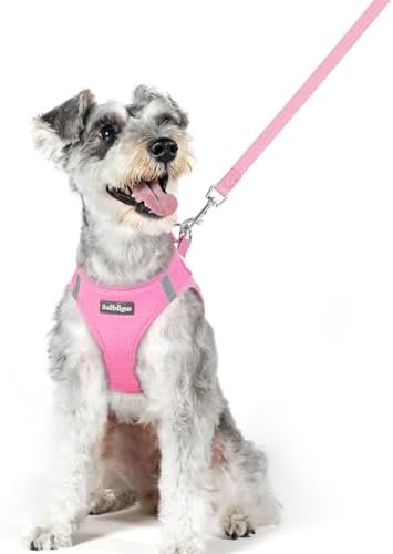 rabbitgoo Dog Harness Medium Sized and Leash Set, Step-in Puppy Pet Vest by rabbitgoo
