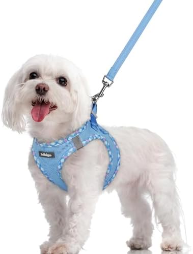 rabbitgoo Dog Harness Medium Sized and Leash Set, Step-in Puppy Pet Vest by rabbitgoo