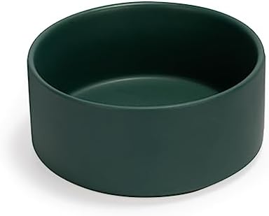SPUNKYJUNKY 28.7OZ Ceramic Dog and Cat Bowl, Modern Cute Weighted Food Water Bowl for Replacement Green (1 Pack) by SPUNKYJUNKY