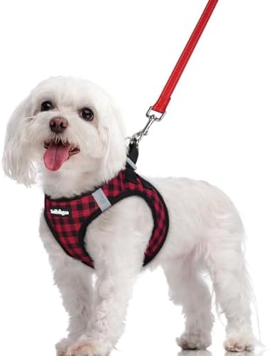 rabbitgoo Dog Harness Medium Sized and Leash Set, Step-in Puppy Pet Vest by rabbitgoo