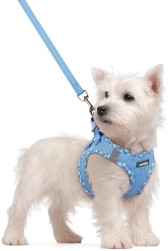 rabbitgoo Dog Harness Small Sized and Leash Set, Step-in Puppy Pet Vest by rabbitgoo