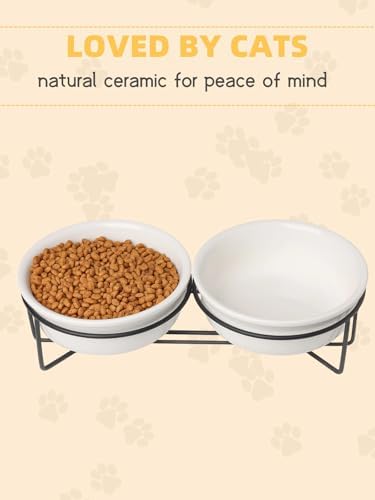 GDCZ Elevated 15 Oz Ceramic Double Cat Bowls with 11.6x2.5 Inch Stand (White) - Image 4