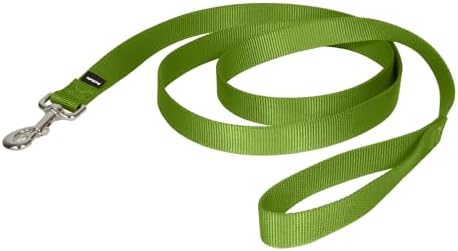 PetSafe Nylon Dog Leash - Strong, Durable, Traditional Style Leash with Easy to Use Bolt Snap - 1 in. x 6 ft., Apple Green by PetSafe