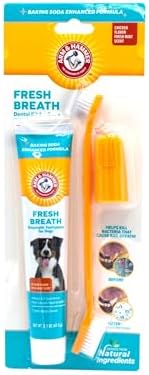 Arm & Hammer Enzymatic Dog Dental Care Kit, Chicken Flavor, 2.5 Oz Tube - Image 2