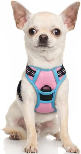 rabbitgoo Dog Harness, No Pull for Small Dogs with 2 Leash Clips, Pet Vest by rabbitgoo