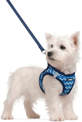 rabbitgoo Dog Harness Small Sized and Leash Set, Step-in Puppy Pet Vest by rabbitgoo