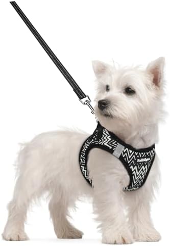 rabbitgoo Dog Harness Small Sized and Leash Set, Step-in Puppy Pet Vest by rabbitgoo