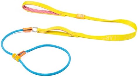 HowGo Slip Lead Dog Leash with 2 Spring-Loaded Stoppers (Multicolor 5.0FT) by HOWGO