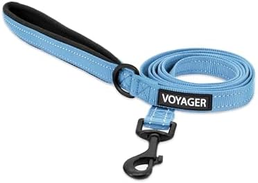 Best Pet Supplies Voyager Nylon Dog Leash - Baby Blue, Small by BestPetSuppliesLLC