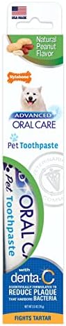 Nylabone Advanced Oral Care Natural Toothpaste Peanut Butter 2.5 oz. (1 Count) by Nylabone