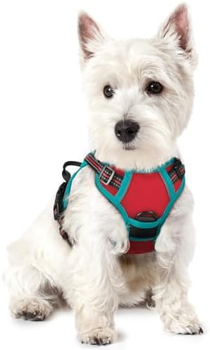 rabbitgoo Dog Harness, No Pull for Small Dogs with 2 Leash Clips, Pet Vest by rabbitgoo