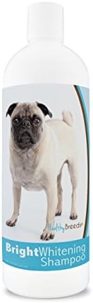 Healthy Breeds Pug Bright Whitening Shampoo 12 oz by HealthyBreeds