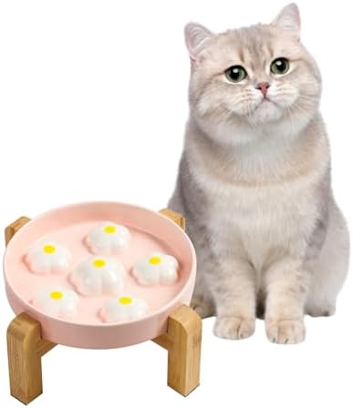 Elevated Ceramic Slow Feeder Cat Bowl with Anti-Slip Bamboo Stand by PTOBER