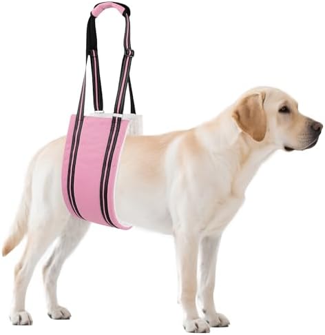 AIITLE Adjustable Dog Sling Dog Lift Harness Hind Leg Support, Pink XL by AIITLE-FORPETSBETTERLIFE