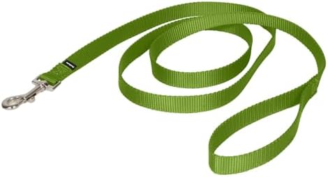 PetSafe Nylon Dog Leash - Strong, Durable, Traditional Style Leash with Easy to Use Bolt Snap - 3/4 in. x 6 ft., Apple Green by PetSafe
