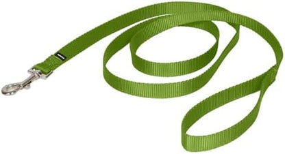 PetSafe Nylon Dog Leash - Strong, Durable, Traditional Style Leash with Easy to Use Bolt Snap - 3/4 in. x 6 ft., Apple Green by PetSafe