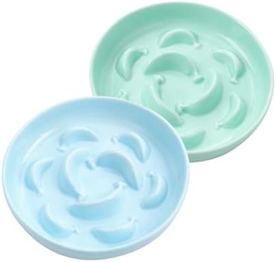 2 Pack Ceramic Cat Slow Feeder Bowl Set, 6.3" Wide, Slow Eating 5X by PTOBER