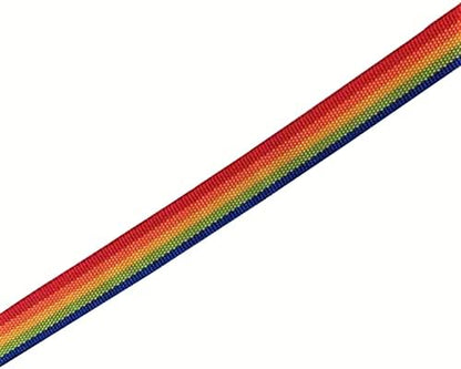 TAIAN 4FT/5FT/6FT Strong Dog Leash, Nylon Dog Leashes for Small Medium Large Dogs (1 in x 6 ft, Rainbow) - Image 5