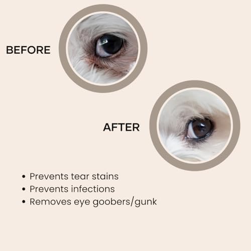Pupwell Detailer Comb for Removing Tear Stains, Crust, and Eye Mucus and Small Tangles - Image 3