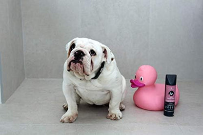 Rufus & Coco Natural Oatmeal Dog Shampoo and Conditioner for Sensitive Skin| Sulfate & Paraben Free | pH Balanced | Hypoallergenic Fresh Fragrance | Safe for all Dogs - Image 4