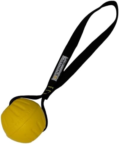 Starmark GripCord DuraFoam Ball on Loop Medium Dogs 2.5-in by Starmark