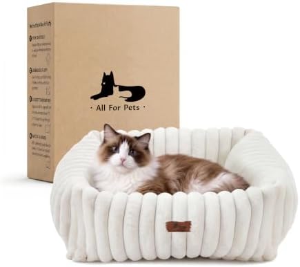 Cute Dog Bed for Small Dogs & Cats,Washable Fluffy Cat Beds for Indoor Cats, Rectangle Orthopedic Memory Foam Puppy Beds with Anti-Slip Bottom, 20 x19 x 6 Inches, Cream (20x19x6 inches) by WARMREST